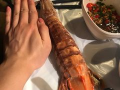 -鲜入围煮花胶鸡海鲜火锅