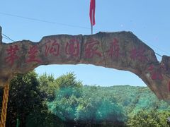 -茅兰沟国家森林公园