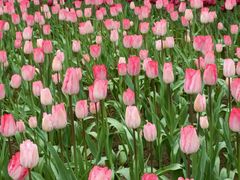 -重庆动物园·东二门售票处