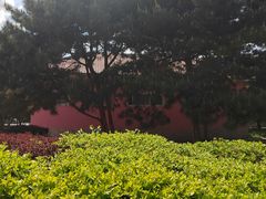 -滨河世纪广场公园