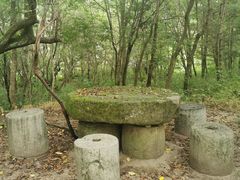 -青峰峡国家森林公园