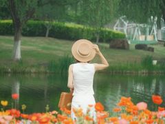 -径山花海