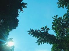 -重庆海昌加勒比海水世界