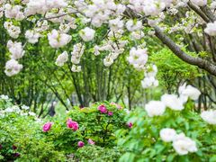 -江南大学(蠡湖校区)