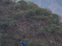 -圣莲山风景区