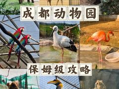 -半岛宠物医院24小时(科华中路店)
