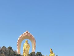 -庐山风景名胜区-东林大佛