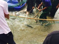 海湾国家森林公园(兆强文化海湾店)-上海海湾国家森林公园