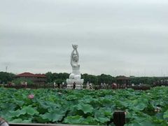 -荷塘月色湿地公园·向阳花洲