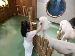 -藦茜花园宠物主题亲子互动体验馆(国顺东路店)