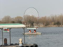 -石家庄市植物园