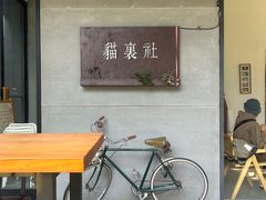-猫里有甜