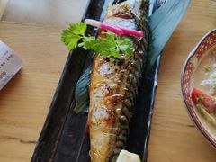 青花鱼烤鱼-隐泉京望日式料理(太和广场店)