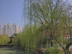 -徽园