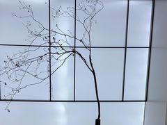 -京东五星电器(秋涛店)