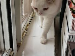 -北京恒爱动物医院(清景园分院)