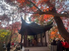 -秋霞圃