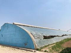 -万源龙顺度假庄园生态观光园