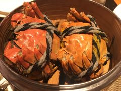 -厦门喜来登酒店