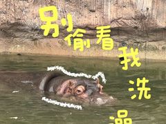 -武汉动物园