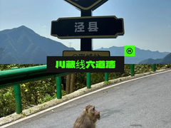 -中国宣纸文化园