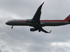 -空港花田景区