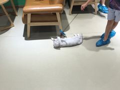 -藏猫猫咖啡主题馆(中央大道店)