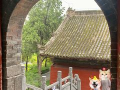 -洛阳白马寺
