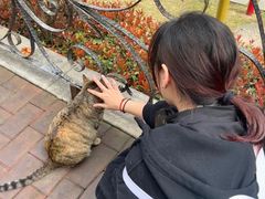 -浙江万里学院(回龙校区)