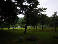 -福建鲤鱼洲酒店