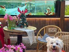 -三圣花乡旅游区