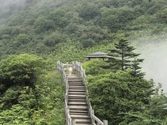 -西岭雪山大飞水景区