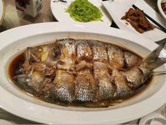 唐朝醉鲥鱼-盛福楼·惠山宴(盛岸路店)