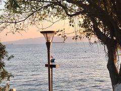 -黄金海岸环岛路