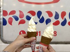 -富豪雪糕车流动点(尖沙咀店)