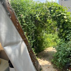 -瞳孔摄影(植物园路店)