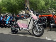 -小牛电动(上海浦东新区张杨路店)