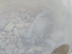 -上海都市菜园