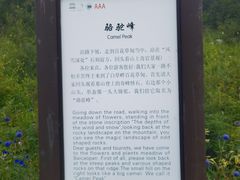 -白草畔自然风景区