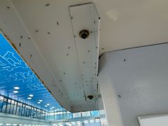 -北京科技大学-游泳馆