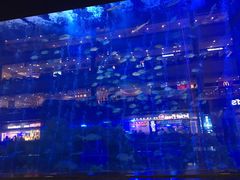 -成都浩海立方海洋公园