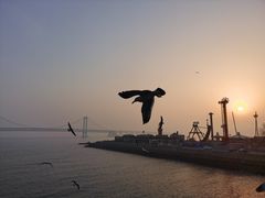 -星海广场