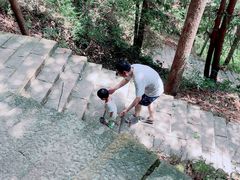 -楠溪江石桅岩