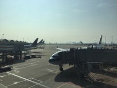 -万宁(机场DFS店)