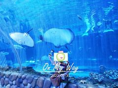 -华夏文旅海洋公园