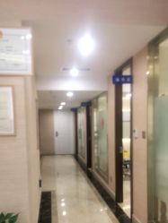 -碧莲盛·不剃发植发