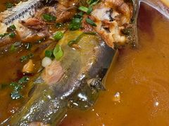 -鸽子窝(青塔店)