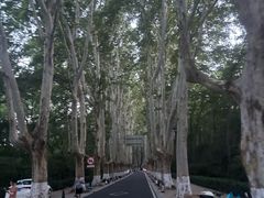 -灵谷景区