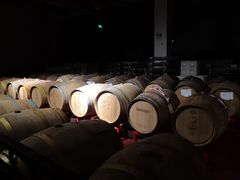 -丹世红酒庄·烧烤·团建·婚礼·水上运动