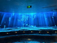 -唐宫足道·SPA·住宿24H会所(木渎店)